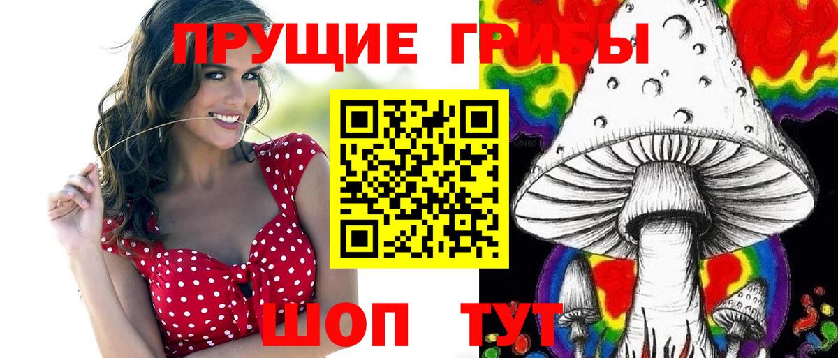 Псилоцибиновые грибы Psilocybine cubensis  Вход с VPN  что такое   Губаха 